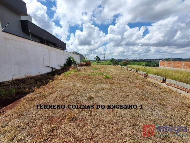 #897 - Área para Venda em Limeira - SP - 1