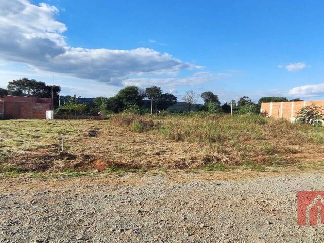 #899 - Chácara para Venda em Limeira - SP - 1